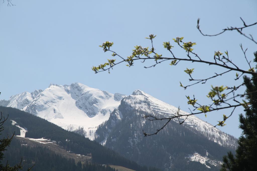 Villa Schnuck - Das Rote Ferienhaus Bad Gastein Kültér fotó